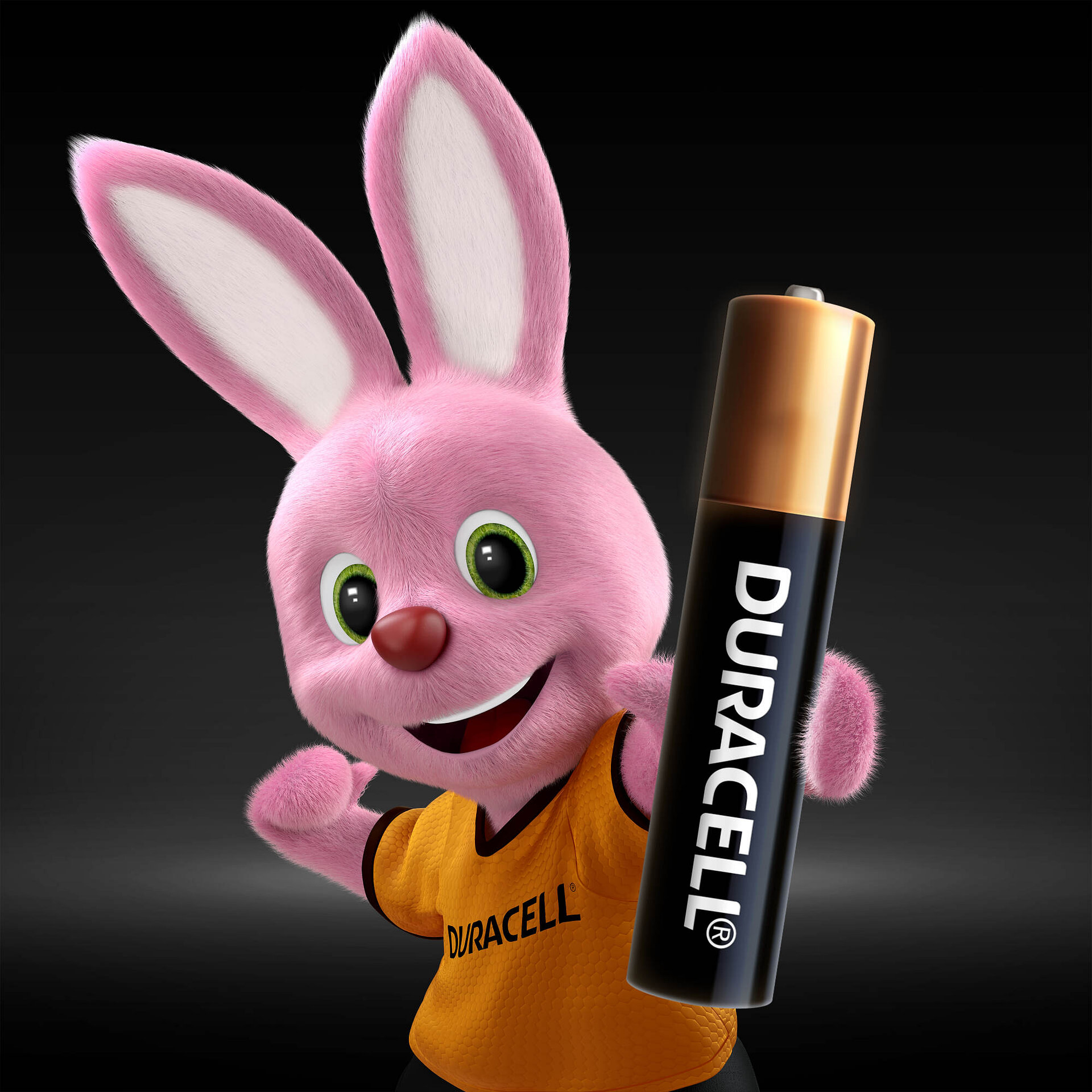 duracell-aaaa-2-unidades-1-5v-scai-chile